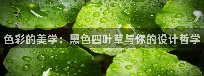 喵趣免费漫画下载：色彩的美学：黑色四叶草与你的设计哲学