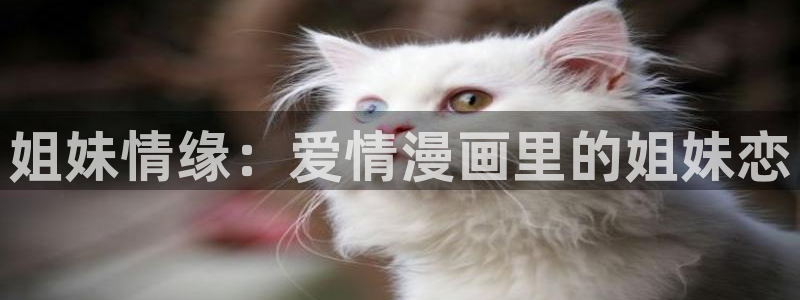 喵趣漫画app下载小说免费：姐妹情缘：爱情漫画里的姐妹恋