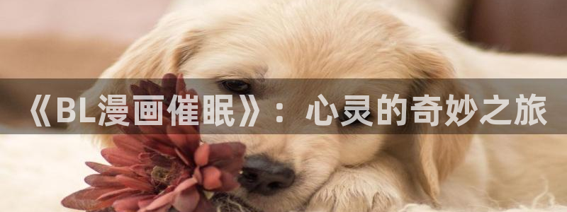 喵趣漫画免费官网下载：《BL漫画催眠》：心灵的奇妙之旅