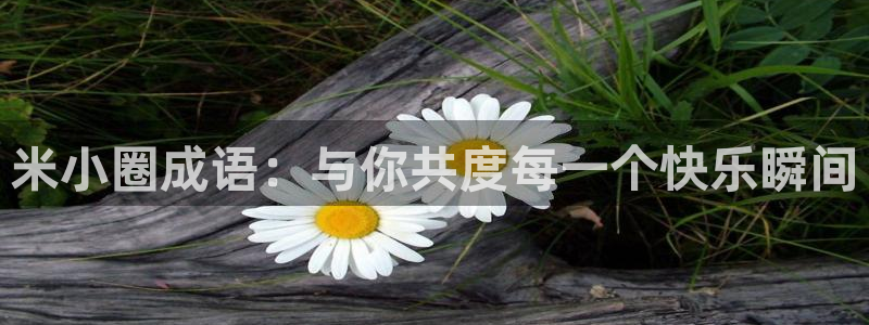 喵趣网址：米小圈成语：与你共度每一个快乐瞬间