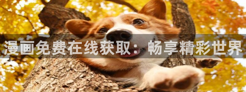 喵趣动漫官方正版下载：漫画免费在线获取：畅享精彩世界