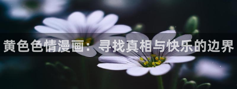 喵趣漫画ios版：黄色色情漫画：寻找真相与快乐的边界
