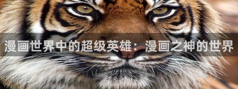 喵趣漫画下载aqq：漫画世界中的超级英雄：漫画之神的世界