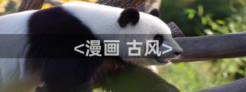 喵趣漫画入口正版：<漫画 古风>