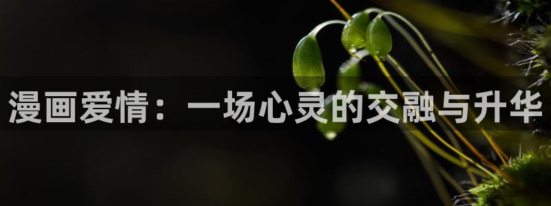 喵趣漫画正版官网下载：漫画爱情：一场心灵的交融与升华