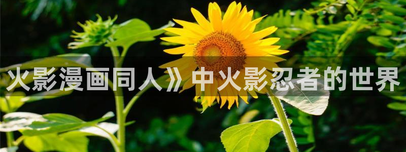 喵趣影视