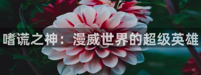 喵趣漫画为什么打不开：嗜谎之神：漫威世界的超级英雄